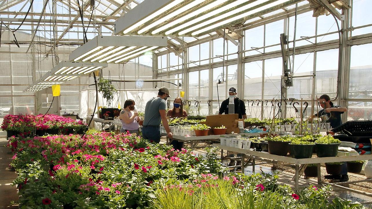 bps/horticulture-greenhouse