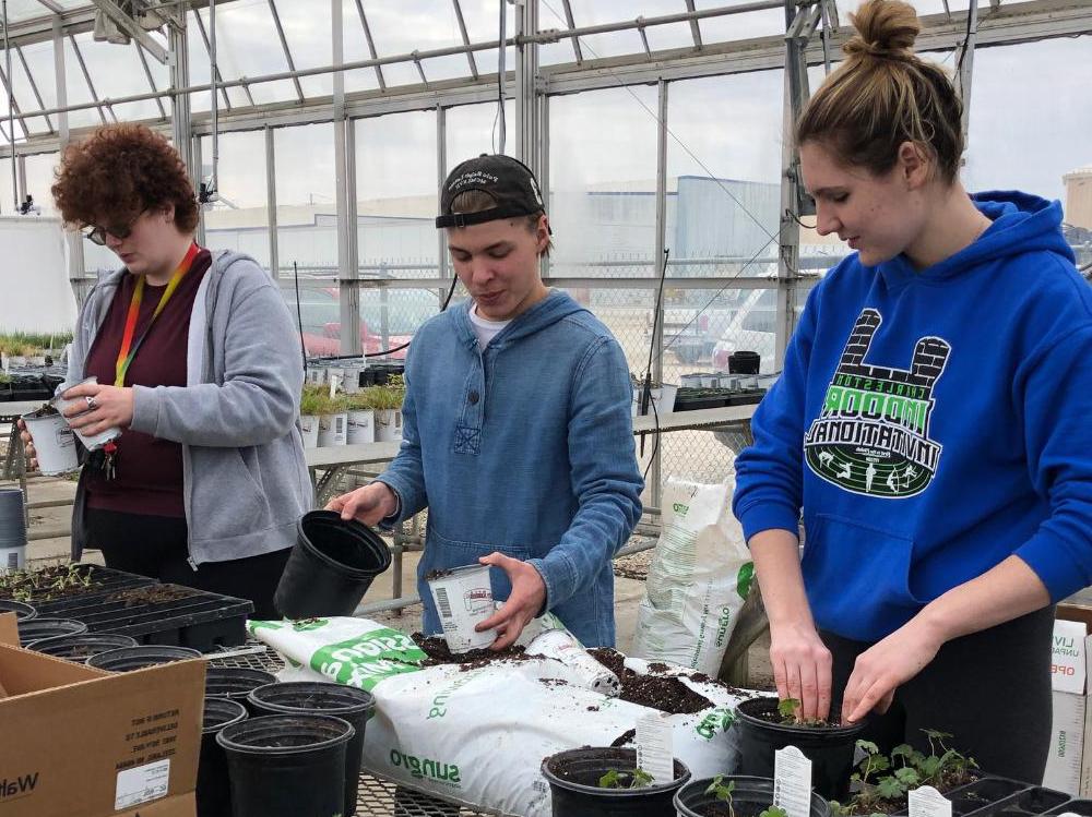 bps/horticulture-student-planting